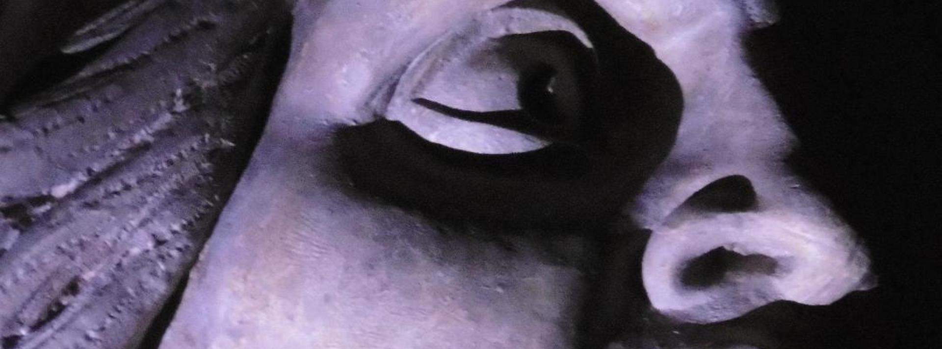 Image Nuit noire 2018 © Prolet Popova